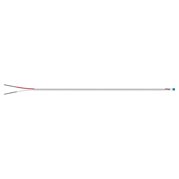 2 Wire RTD