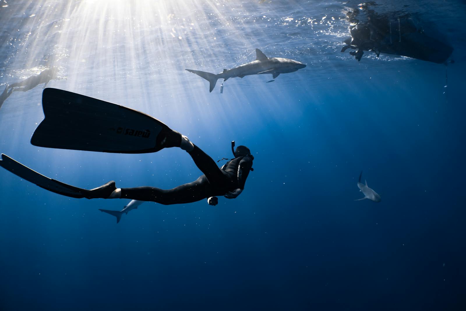 Marine Ecosystem Management Solutions